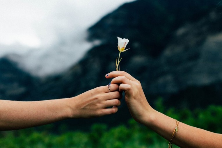 One person hands a white rose to another person. 